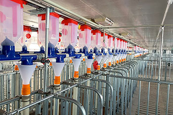 Automatic feeding equipment