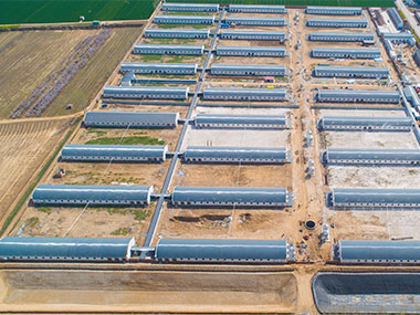 4500 sows breeding farm-owned by Hengyin 