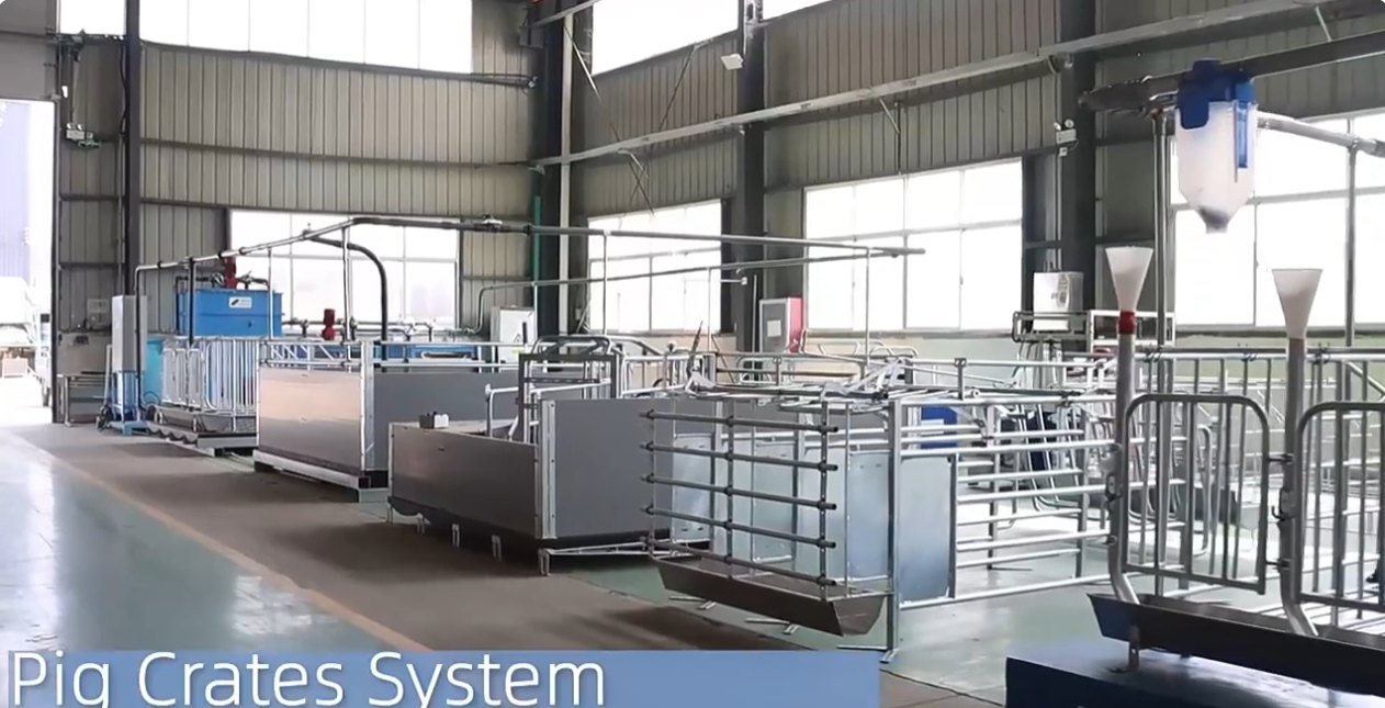 Pig pen system display