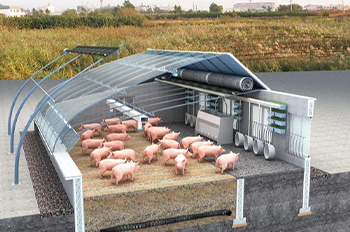 pig farm equipment
