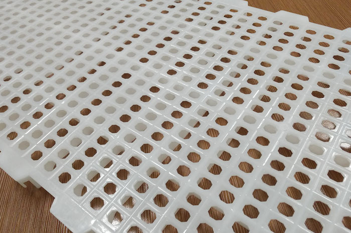 Chicken Plastic Floor