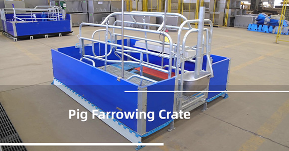Pig Farrowing Crate