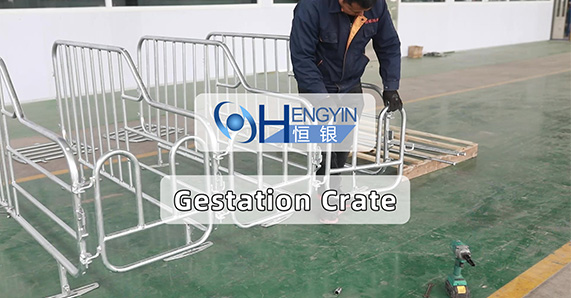 Gestation crate installation